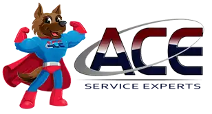 ACE Service Experts